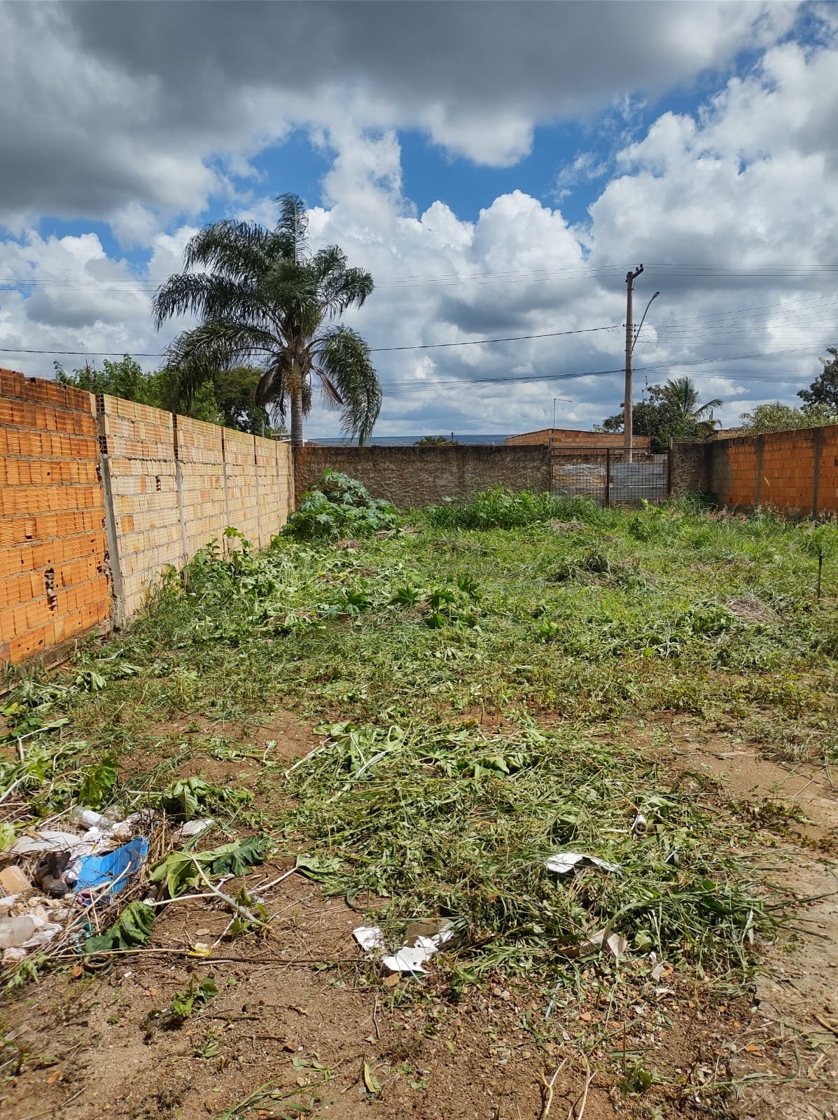 Lote Jardim das Oliveiras – Jardim ABC – Ocidental