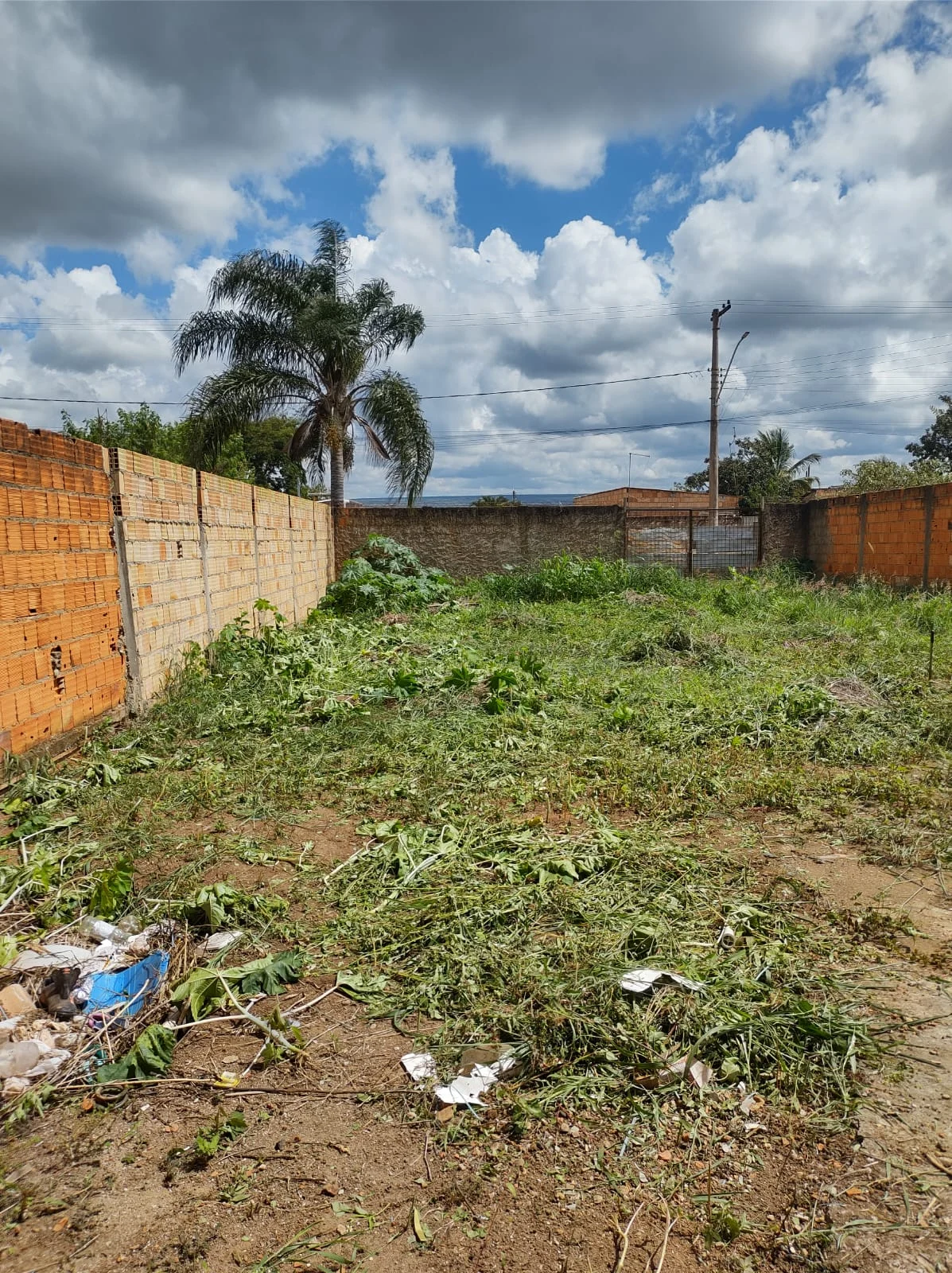 Lote Jardim das Oliveiras – Jardim ABC – Ocidental