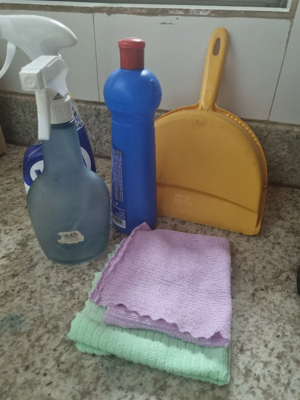 DOMÉSTICA PARA 1 PESSOA (2000 reais)