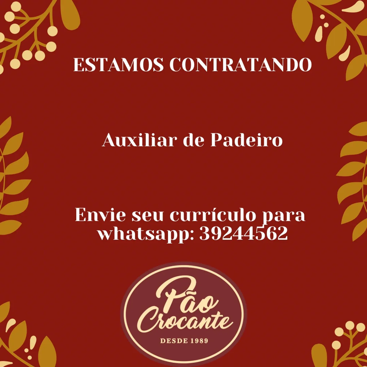 Vaga de emprego sem experiência