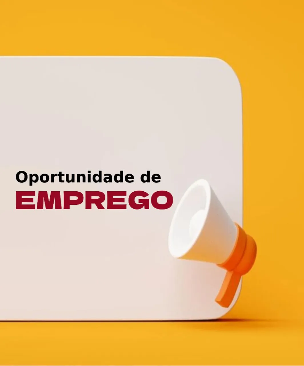 Vaga de emprego em Juiz de Fora
